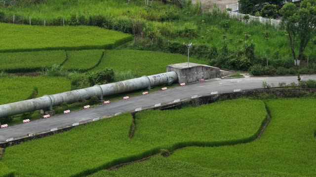 Water Pipeline Beside Rice Fields