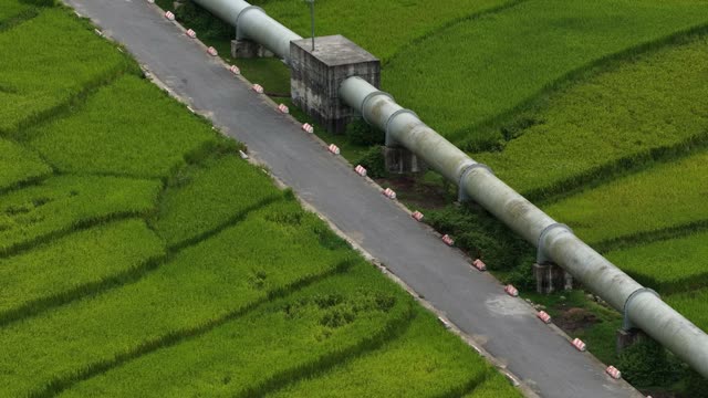 Pipeline Crossing Green Paddies
