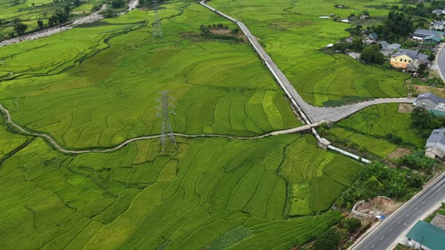 Wide Rice Valley With Power Line