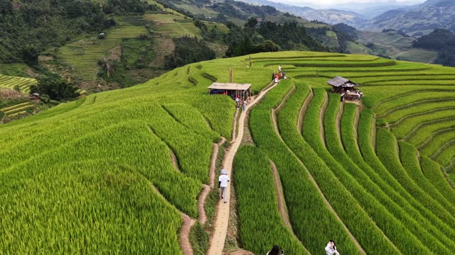 Trail Across Terraced Rice Fields