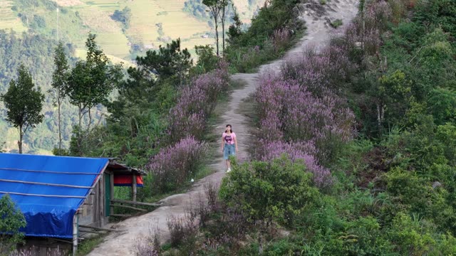 Flowering Path Past A Hill Shelter