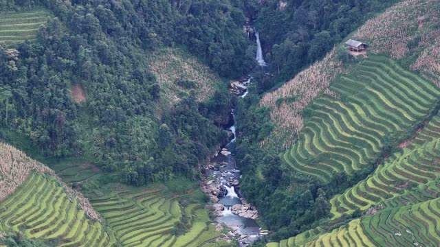 Waterfall Feeding Rice Terraces