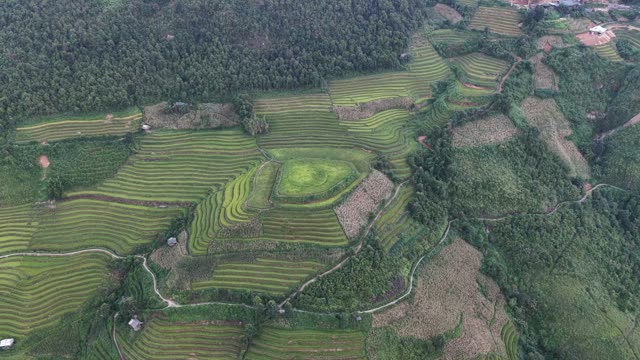 Rice Terraces And Hill Farmhouse