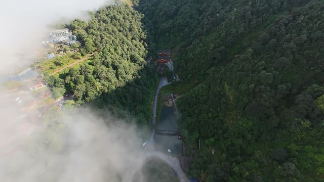 Misty Forest Valley From Above