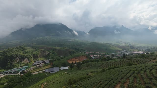 Tea Village Under Cloudy Peaks