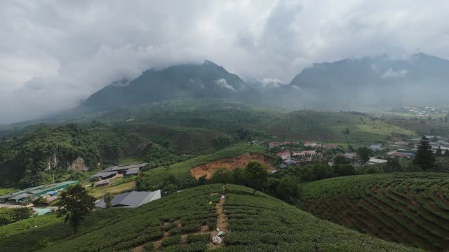 Mountain Village And Tea Fields