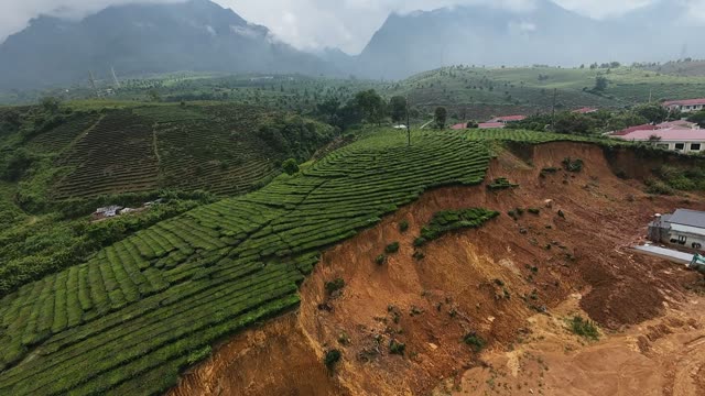 Tea Hills Beside Red Earth Scar