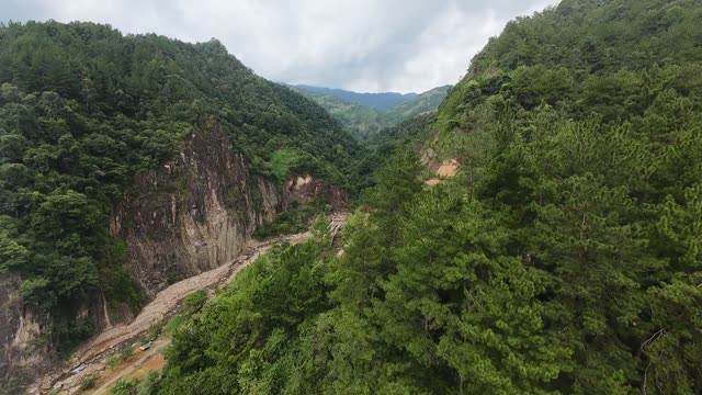 Deep Forested Mountain Gorge