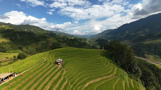 Rice Terraces Under Blue Sky