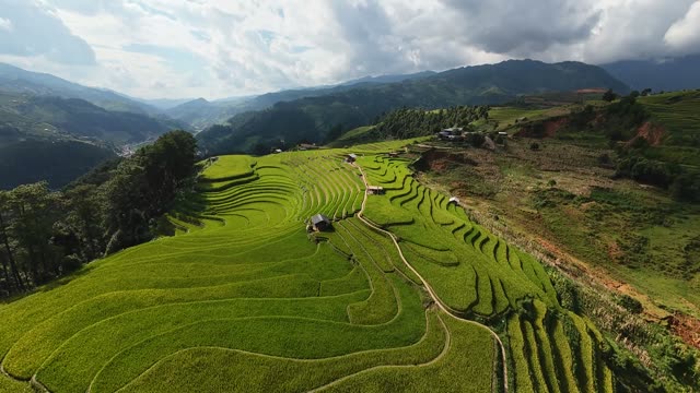 Terraced Fields And Misty Peaks