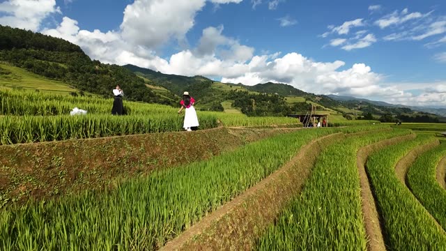Travellers In A Rice Terrace Field