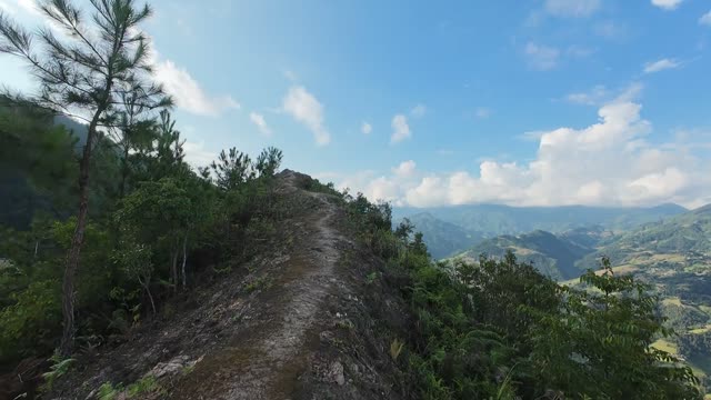 Pine Trail Along A Mountain Ridge