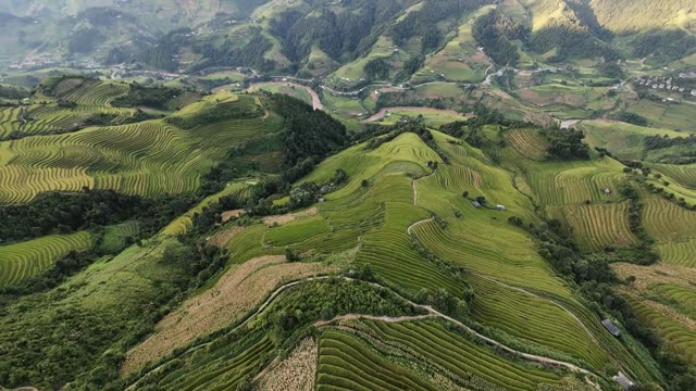 Terraced Hills Rolling To Horizon