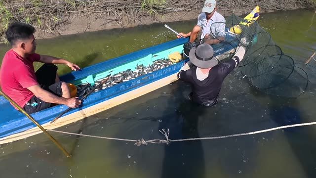 Loading Fish And Traps