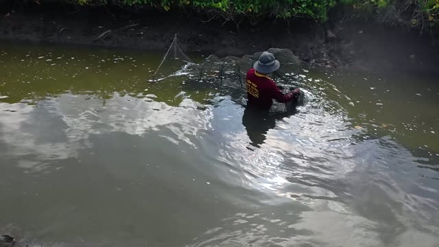 Paddlewheel Aerator On Fish Pond