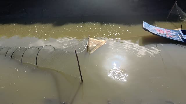 Fish Traps In Muddy Pond