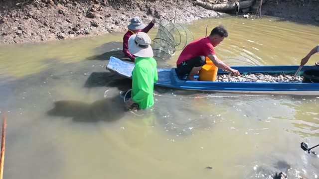 Boat Full Of Fresh Fish