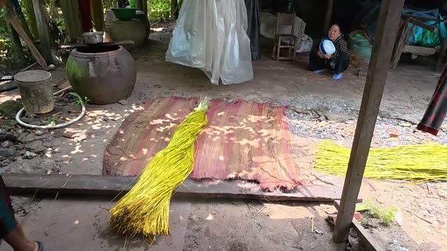 Preparing Dyed Sedge For Mats