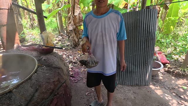 Preparing Dyed Sedge For Mats