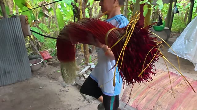 Preparing Dyed Sedge For Mats