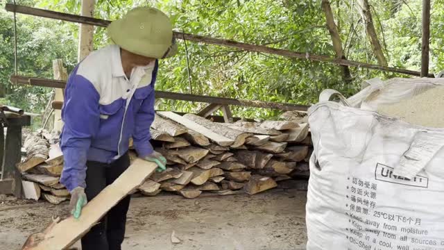 Carrying Timber Plank By Hand