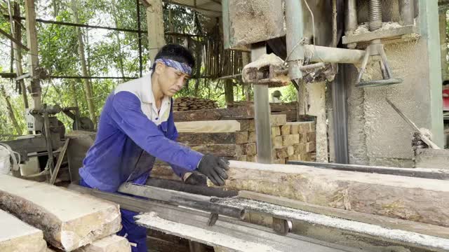Worker Sawing Plank On Bandsaw