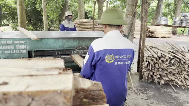 Processing Planks At Wood Mill