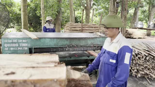 Timber Cutting Machine Operator