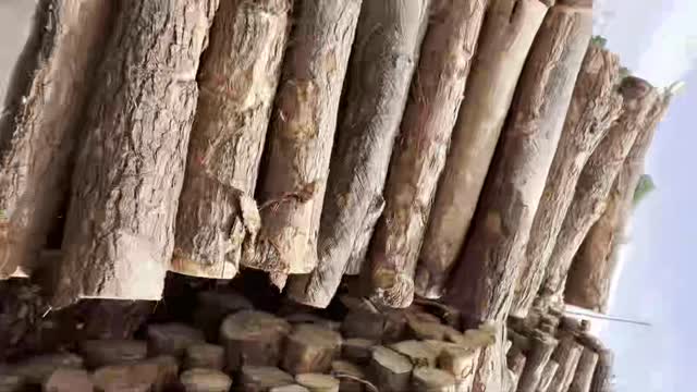 Stacked Round Log Ends