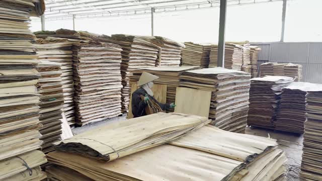 Sorting Veneer Sheets Workshop