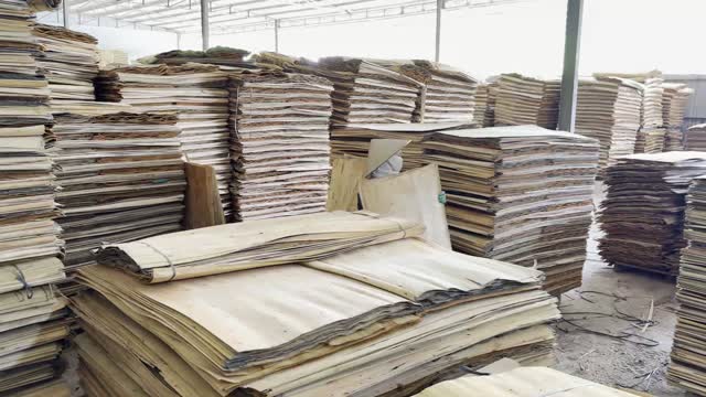 Stacked Veneer Sheet Piles