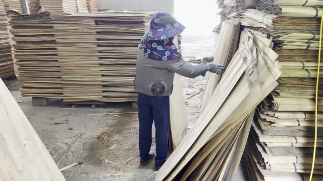 Worker Pulling Veneer Sheet