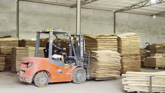 Forklift In Veneer Warehouse