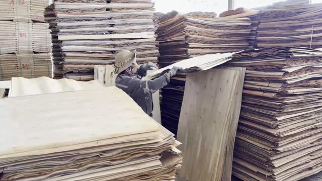Worker Stacking Veneer Sheets