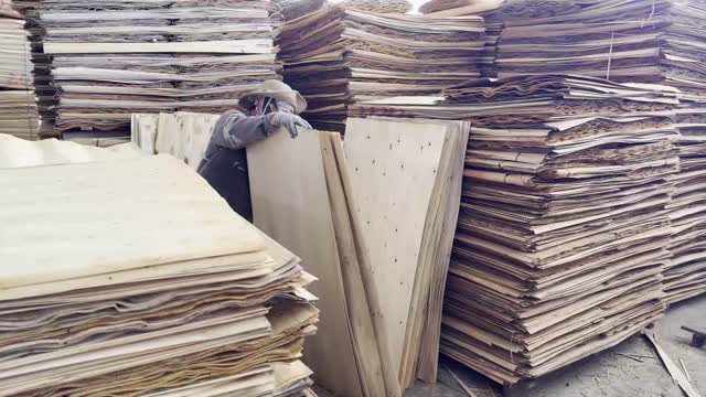 Veneer Sheet Stacks Closeup