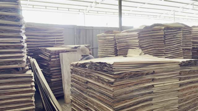 Worker Among Veneer Piles