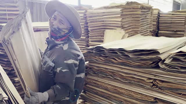 Worker Carrying Veneer Bundle