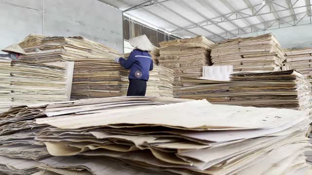 Worker Among Veneer Piles