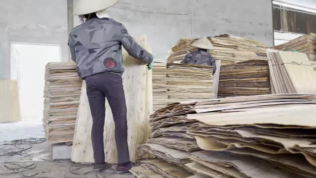 Worker Stacking Veneer Room