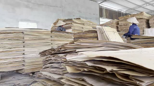 Workers Moving Veneer Sheets