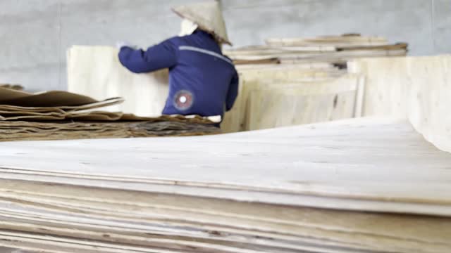 Worker Sorting Veneer Boards
