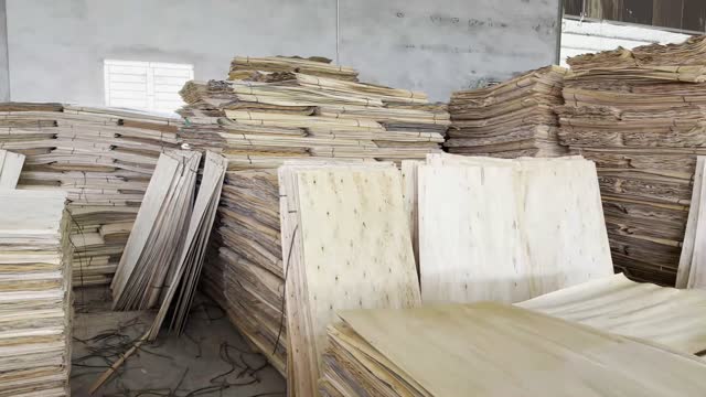 Wood Veneer Storage Warehouse