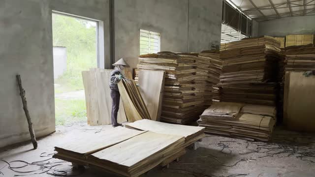 Worker Carrying Veneer Boards