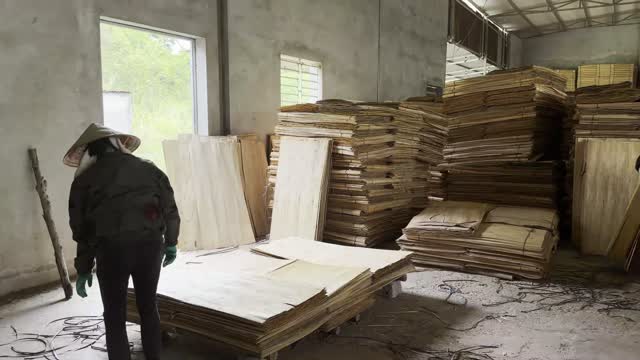 Worker Stacking Veneer Warehouse