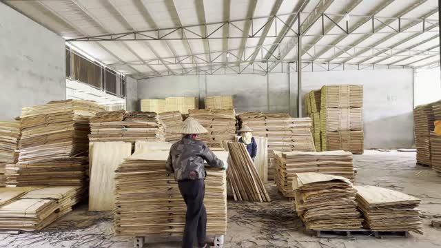 Workers Stacking Veneer Pallets