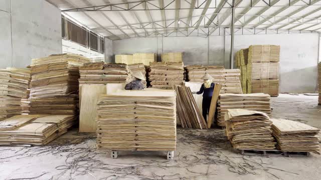 Veneer Workshop Wide Interior