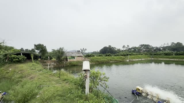 Rural Fish Farm Ponds