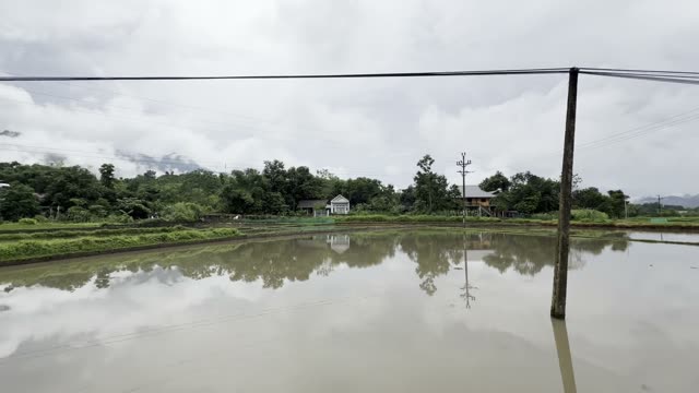 Flooded Rice Paddy Reflection