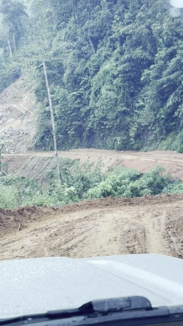 Muddy Landslide Forest Road