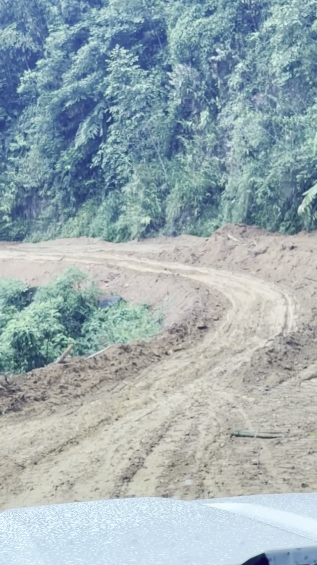 Winding Muddy Mountain Track